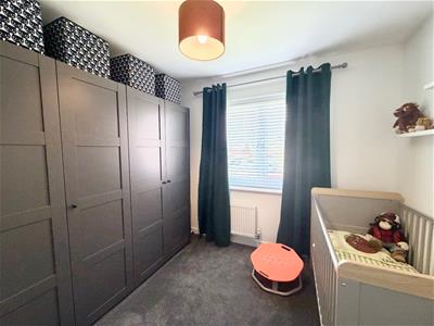 Picture 21
